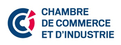 CFDE CCI France